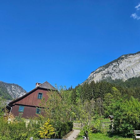 Premium Apartment Mit Privatem Whirlpool, Sauna, Garten Sankt Martin am Grimming Eksteriør bilde