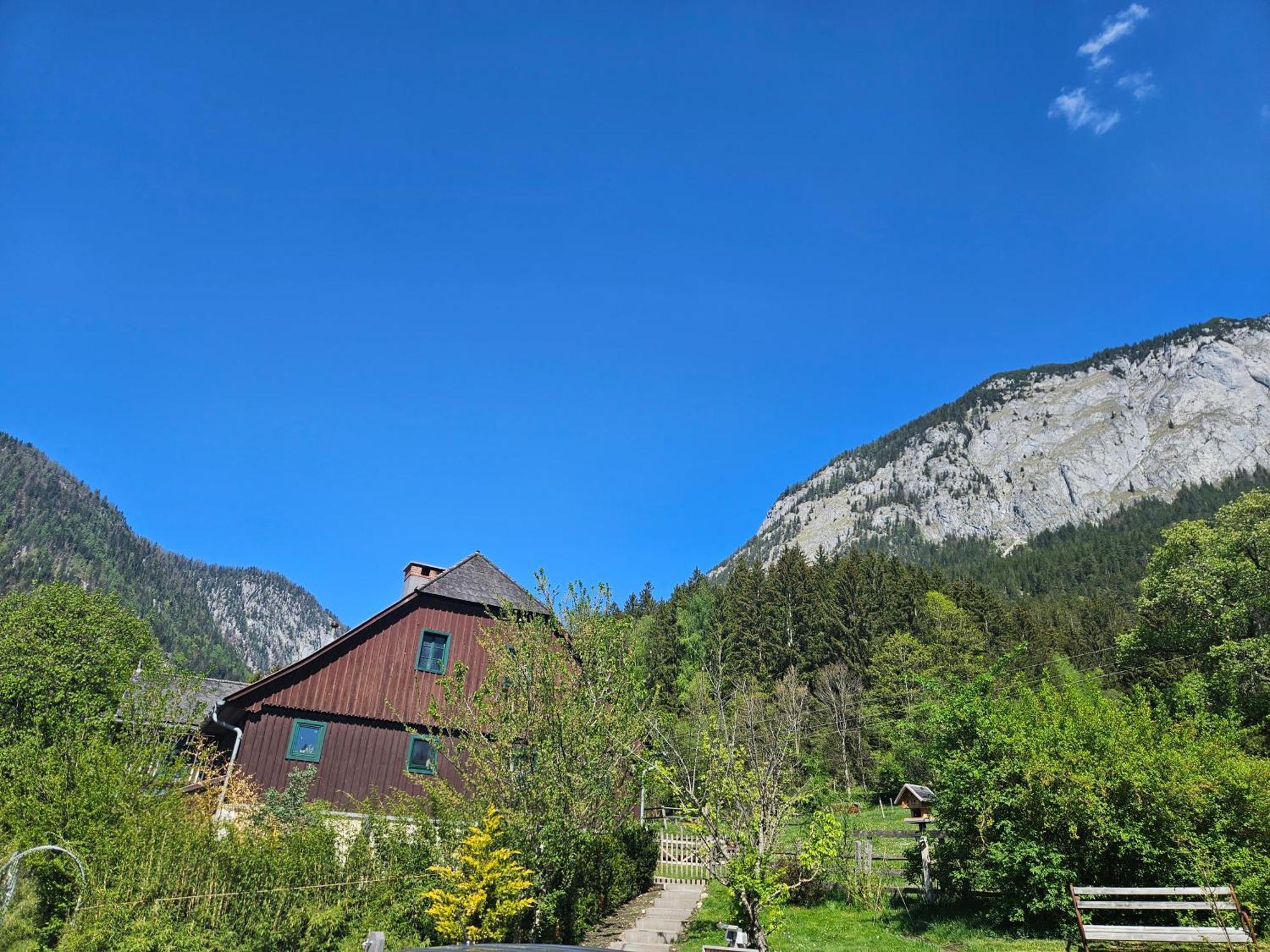 Premium Apartment Mit Privatem Whirlpool, Sauna, Garten Sankt Martin am Grimming Eksteriør bilde
